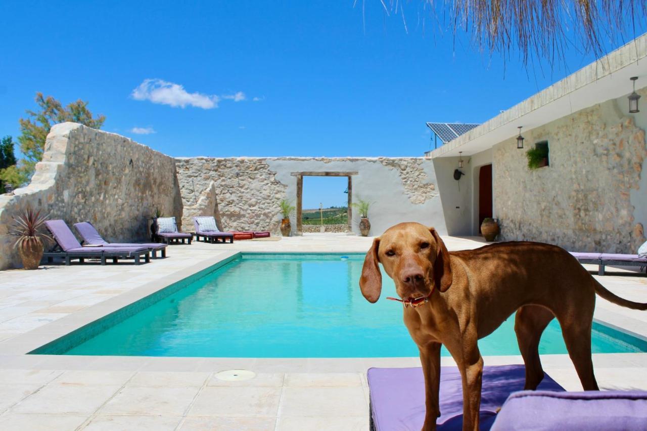 Room In Villa - Beautiful Accommodation At The Heart Of Andalusia Puente Genil Exterior foto